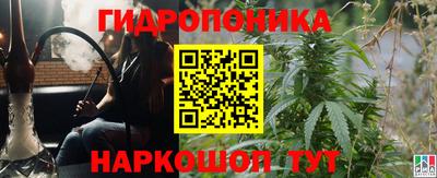 стафф Бузулук