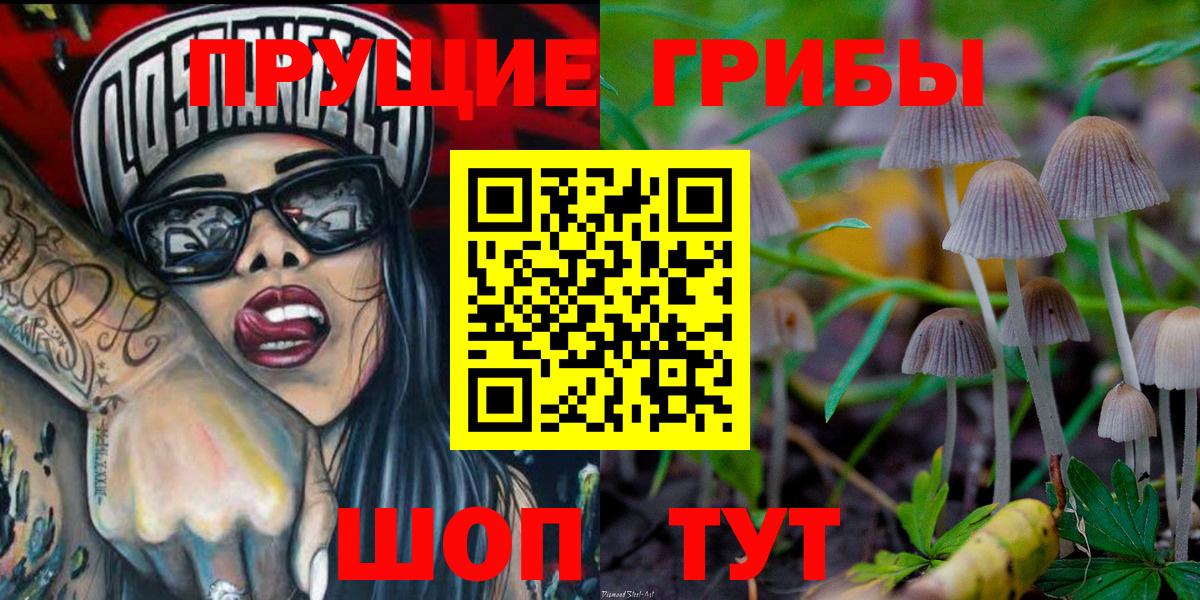 Псилоцибиновые грибы Psilocybine cubensis Усть-Кут
