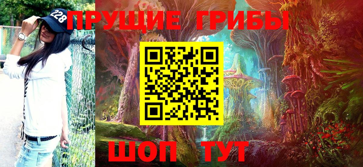 Усть-Кут  Галлюциногенные грибы ЛСД  Галлюциногенные грибы Psilocybine cubensis  Вход с VPN 